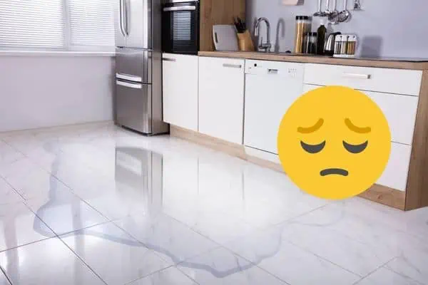 dishwasher leaking from bottom of door